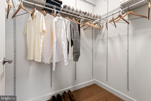 walk in closet featuring wood finished floors