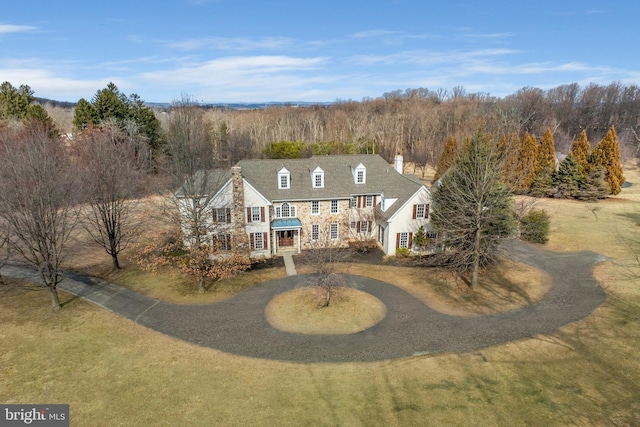 view of front of house with curved driveway and a chimney