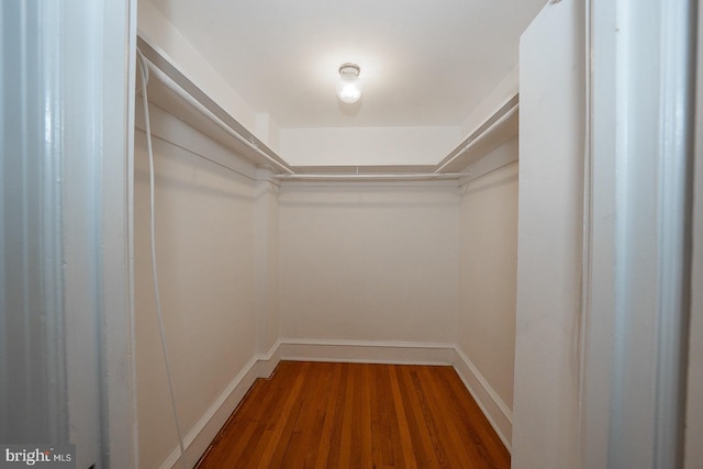 walk in closet featuring wood finished floors