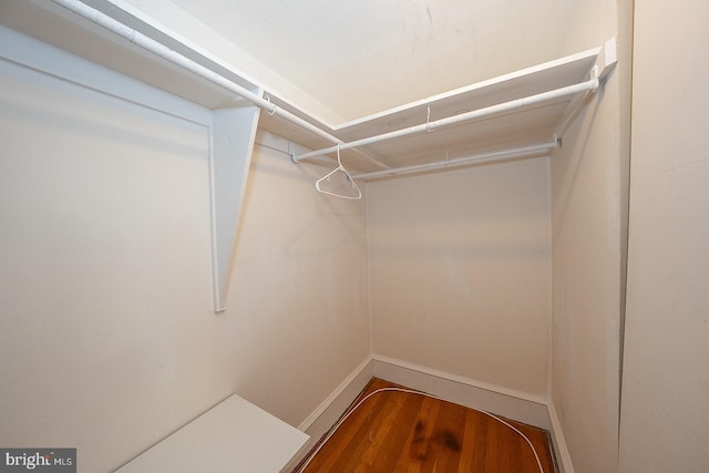 spacious closet featuring wood finished floors