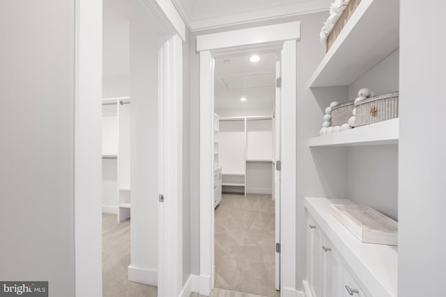 walk in closet with light colored carpet