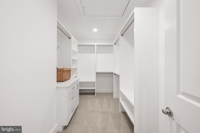 walk in closet with light colored carpet