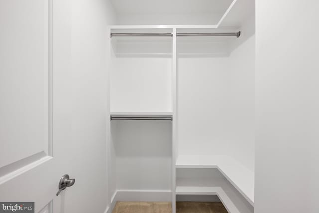 view of walk in closet