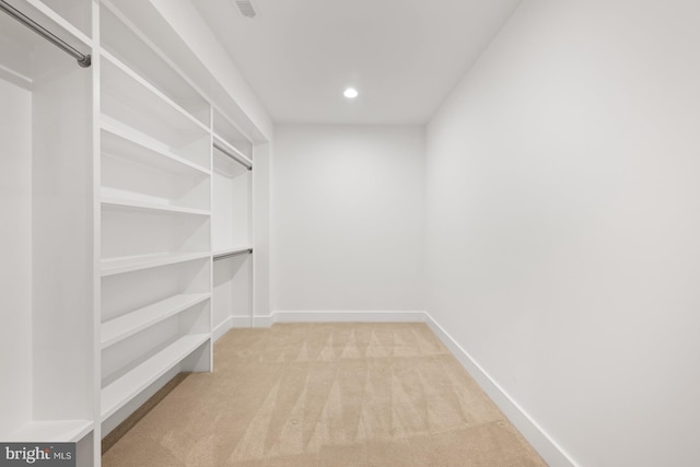 spacious closet featuring carpet flooring