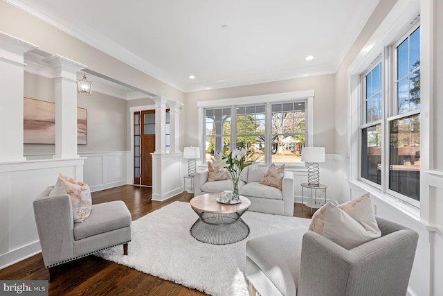 living room featuring ornate columns, plenty of natural light, dark wood-type flooring, and a wainscoted wall