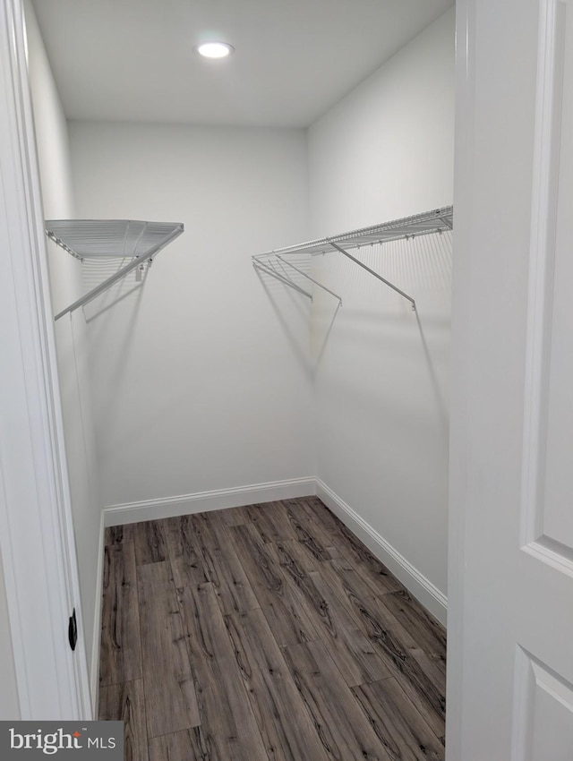 walk in closet with wood finished floors