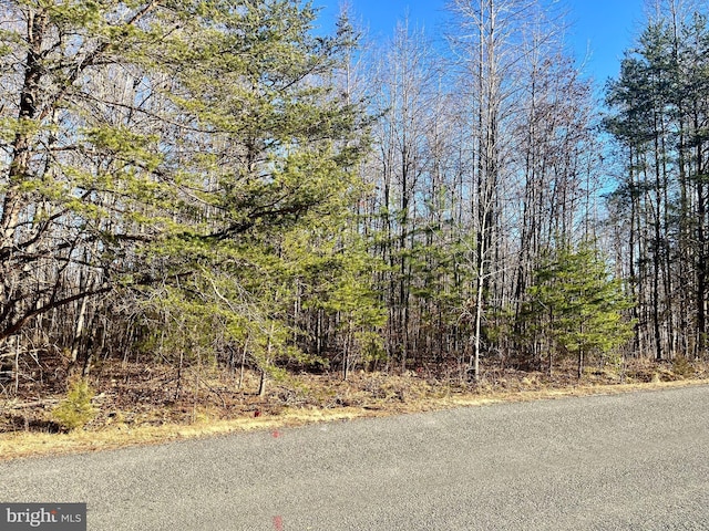 LOT90 Overton Dr, Mineral, VA 23117