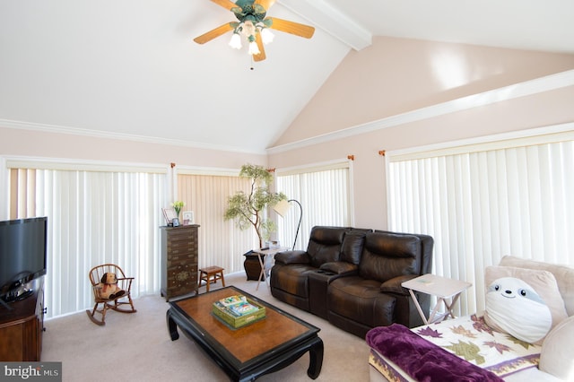 9 Holly Ter, Cambridge, MD 21613 - living room with beam ceiling, high vaulted ceiling, carpet, and ceiling fan