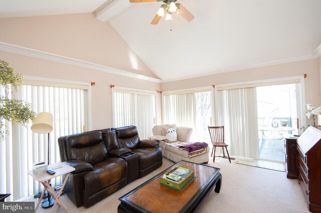9 Holly Ter, Cambridge, MD 21613 - living room with beamed ceiling, high vaulted ceiling, a ceiling fan, and carpet floors