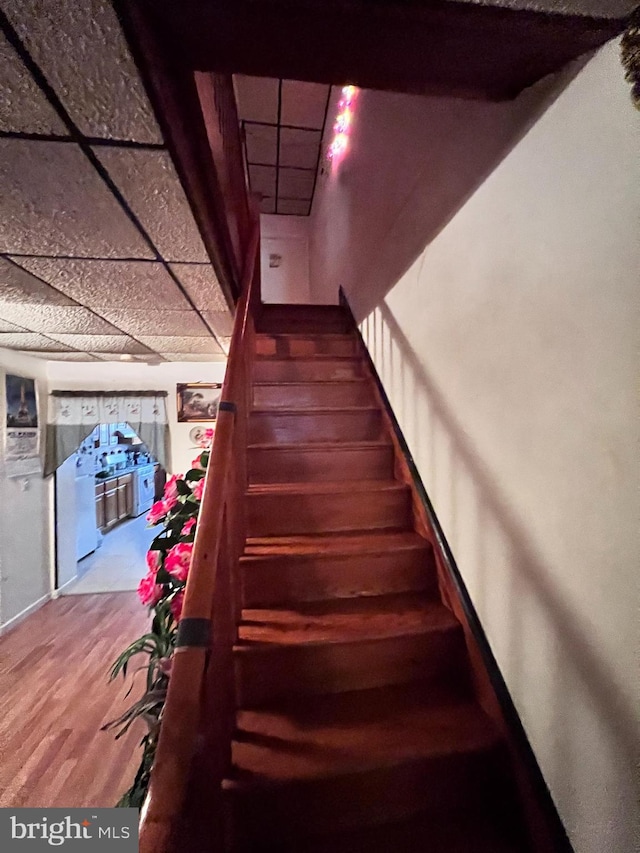 staircase with a paneled ceiling, baseboards, and wood finished floors