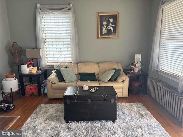 living room with radiator heating unit and wood finished floors