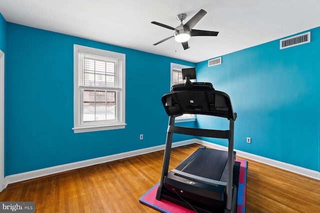 workout area featuring a wealth of natural light, visible vents, and wood finished floors