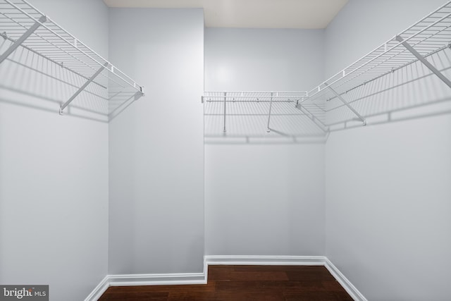 walk in closet featuring wood finished floors