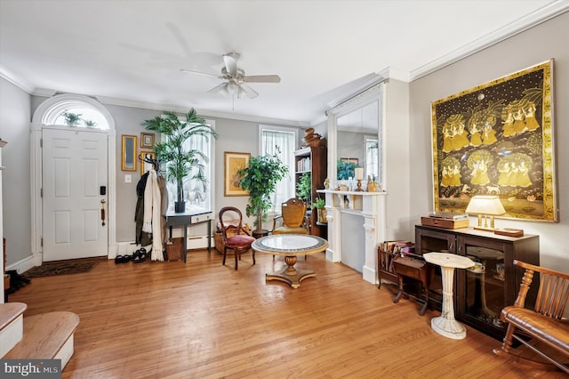 entryway featuring ceiling fan, wood finished floors, a wealth of natural light, and crown molding