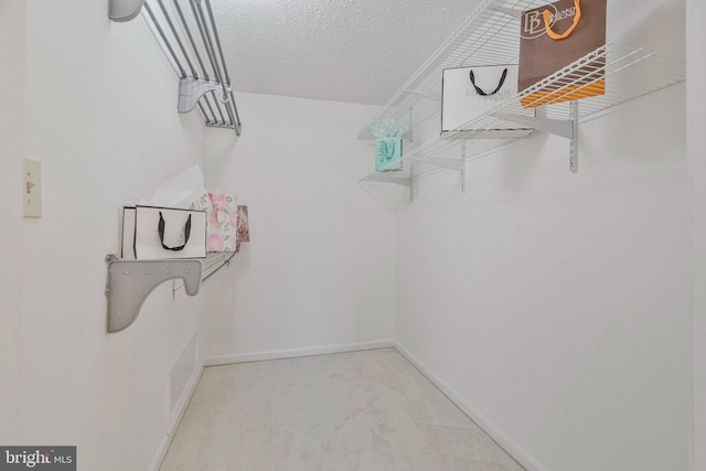 spacious closet featuring carpet floors