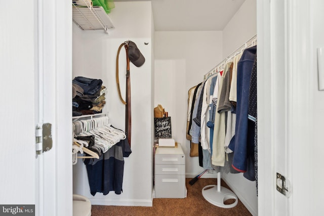 spacious closet with carpet