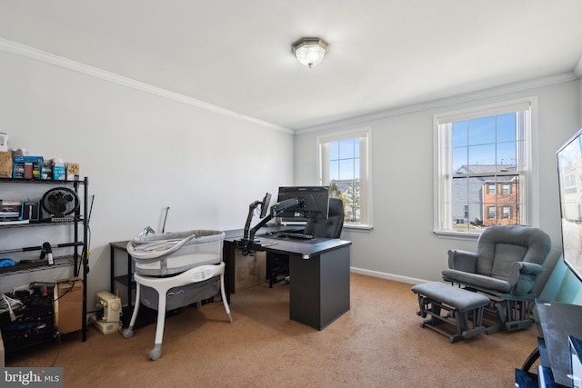 office area featuring carpet, crown molding, and baseboards