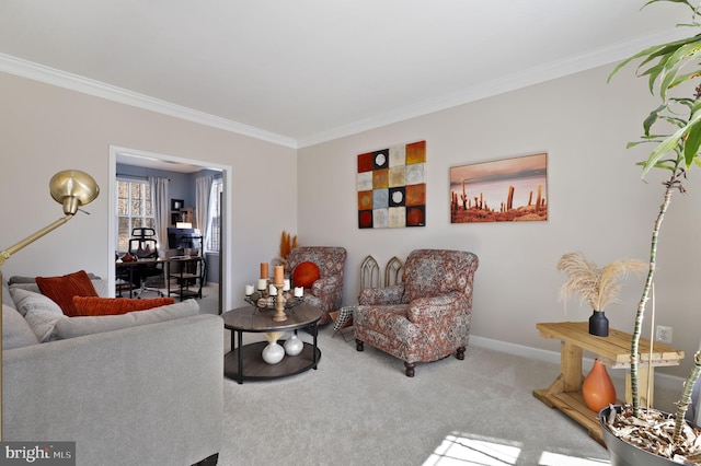 carpeted living room with crown molding and baseboards