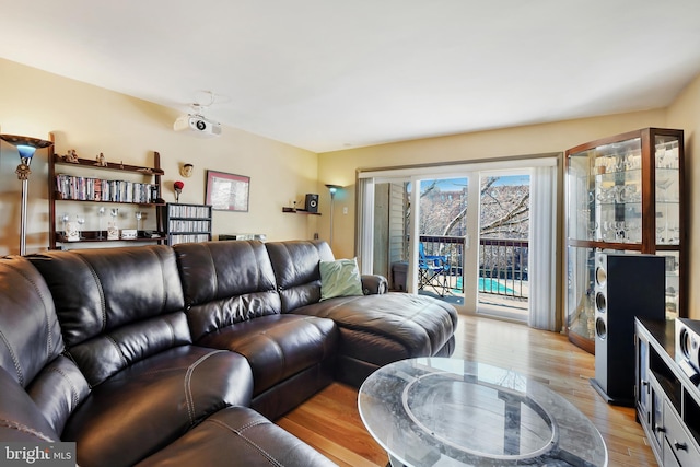 living area featuring light wood finished floors