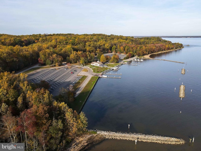 birds eye view of property with a view of trees and a water view