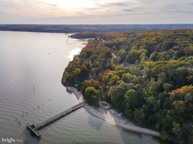 aerial view at dusk featuring a view of trees and a water view