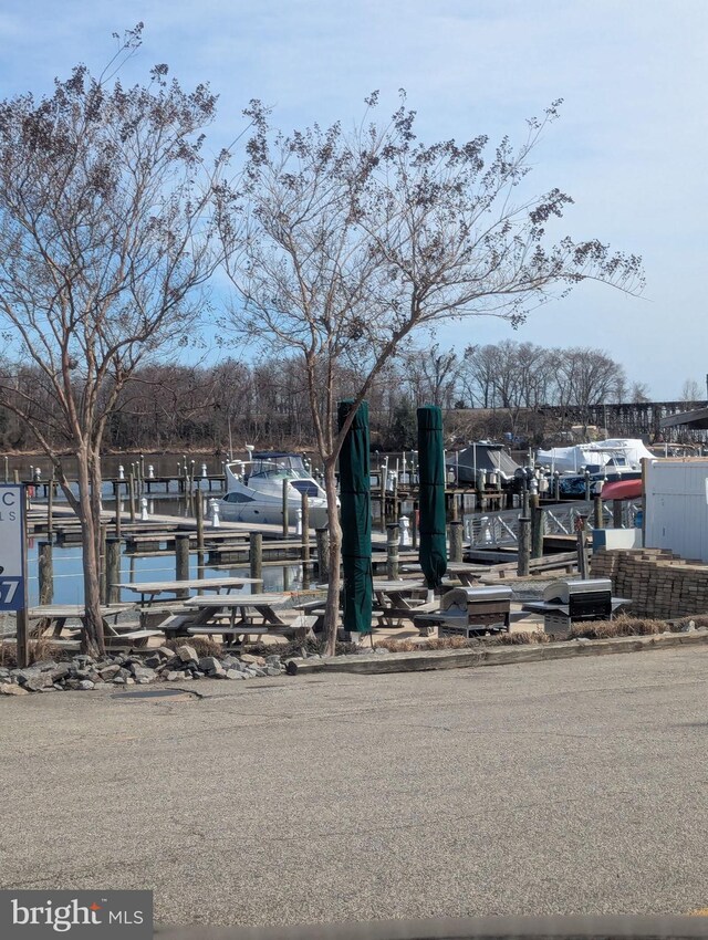 view of community featuring a boat dock