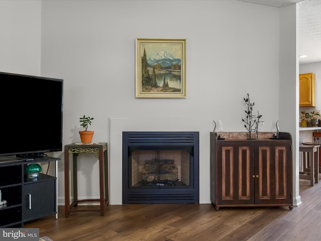 living area featuring a fireplace and wood finished floors