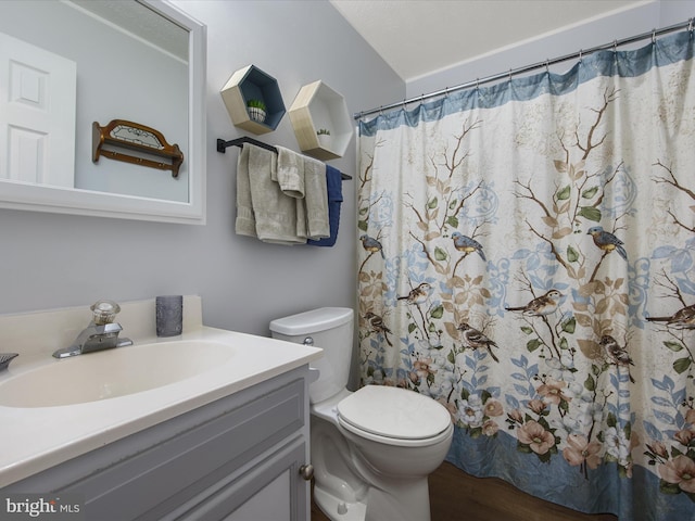 full bath featuring toilet, curtained shower, wood finished floors, and vanity