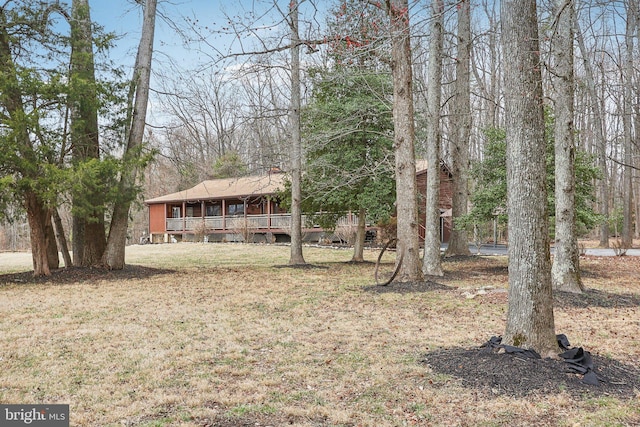 view of yard featuring a porch