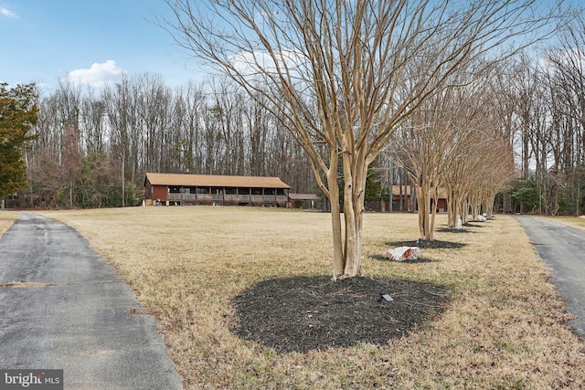 view of front of home featuring a front yard