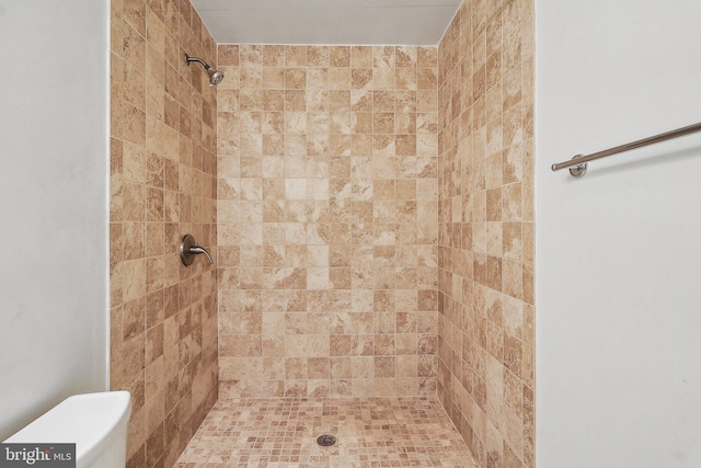 bathroom featuring a shower stall and toilet