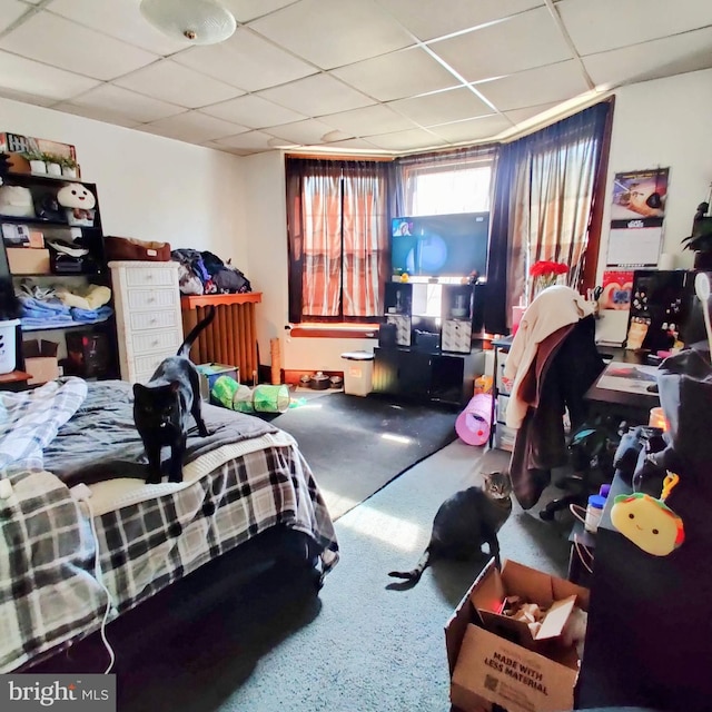 bedroom featuring a drop ceiling