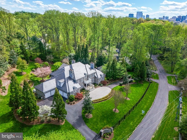 1221 Mottrom Dr, Mclean, VA 22101 - bird's eye view