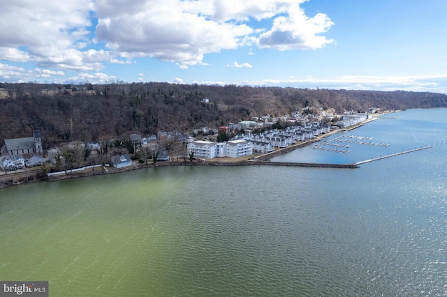 drone / aerial view with a water view and a wooded view