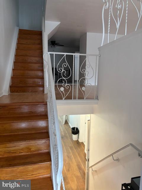 stairs featuring a ceiling fan and wood finished floors