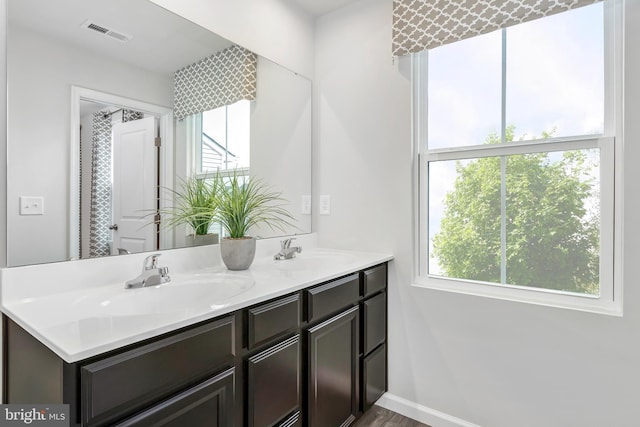 bathroom featuring visible vents, a sink, baseboards, and double vanity