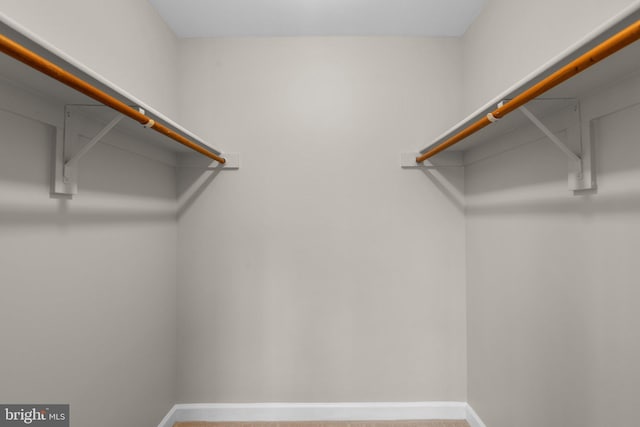 walk in closet with carpet flooring