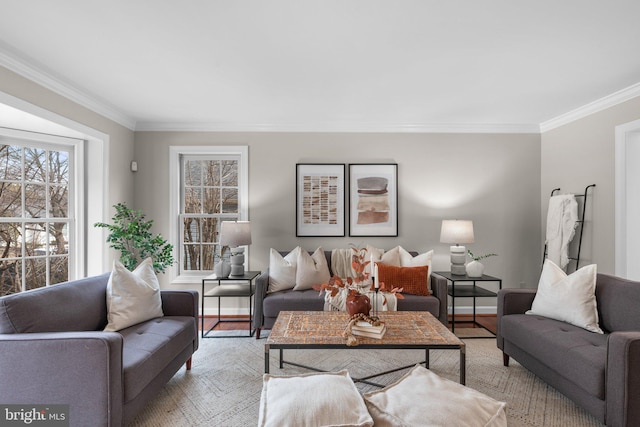 living room featuring baseboards, crown molding, and light wood finished floors