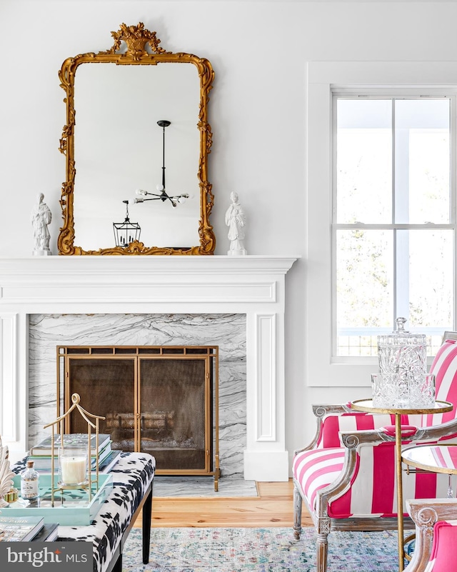 interior details with wood finished floors and a high end fireplace