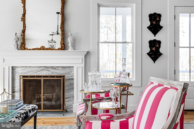 interior space featuring wood finished floors, a wealth of natural light, and a high end fireplace