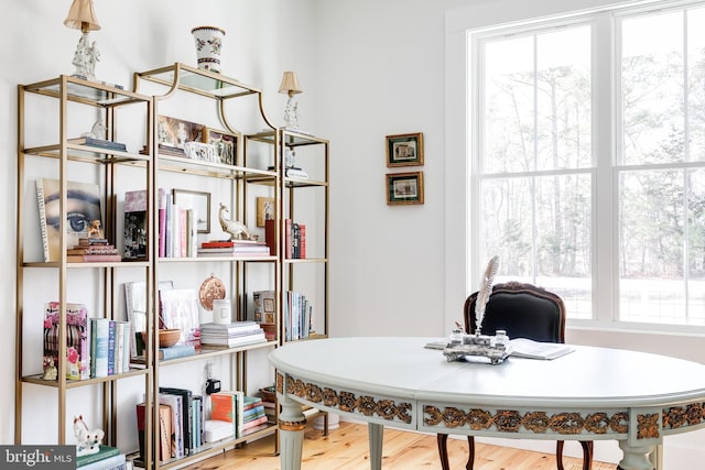 home office featuring wood finished floors