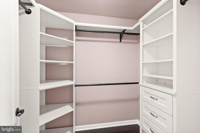 view of walk in closet