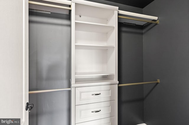 view of spacious closet