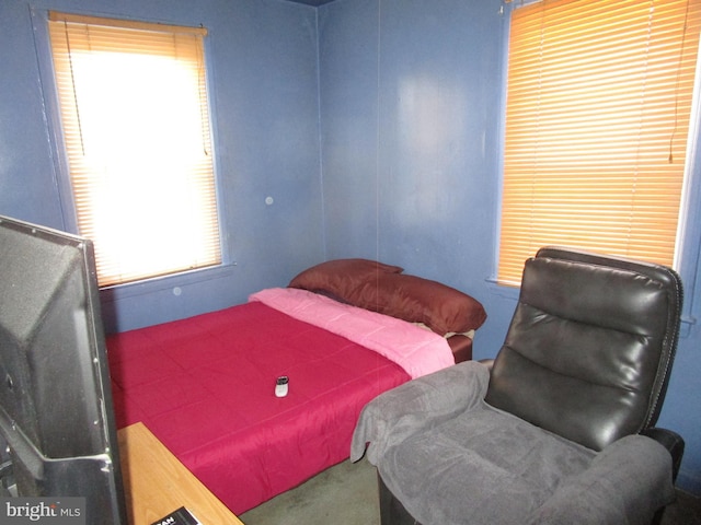 view of carpeted bedroom