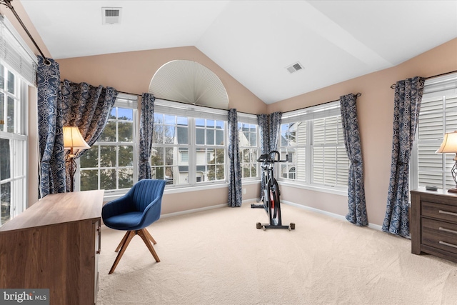 workout room with visible vents, lofted ceiling, carpet, and baseboards