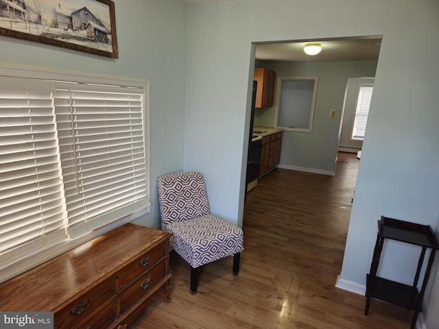 living area featuring a baseboard radiator, wood finished floors, and baseboards