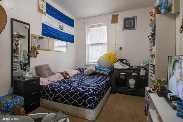 bedroom with carpet flooring