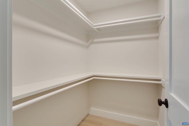 spacious closet with light wood-style flooring