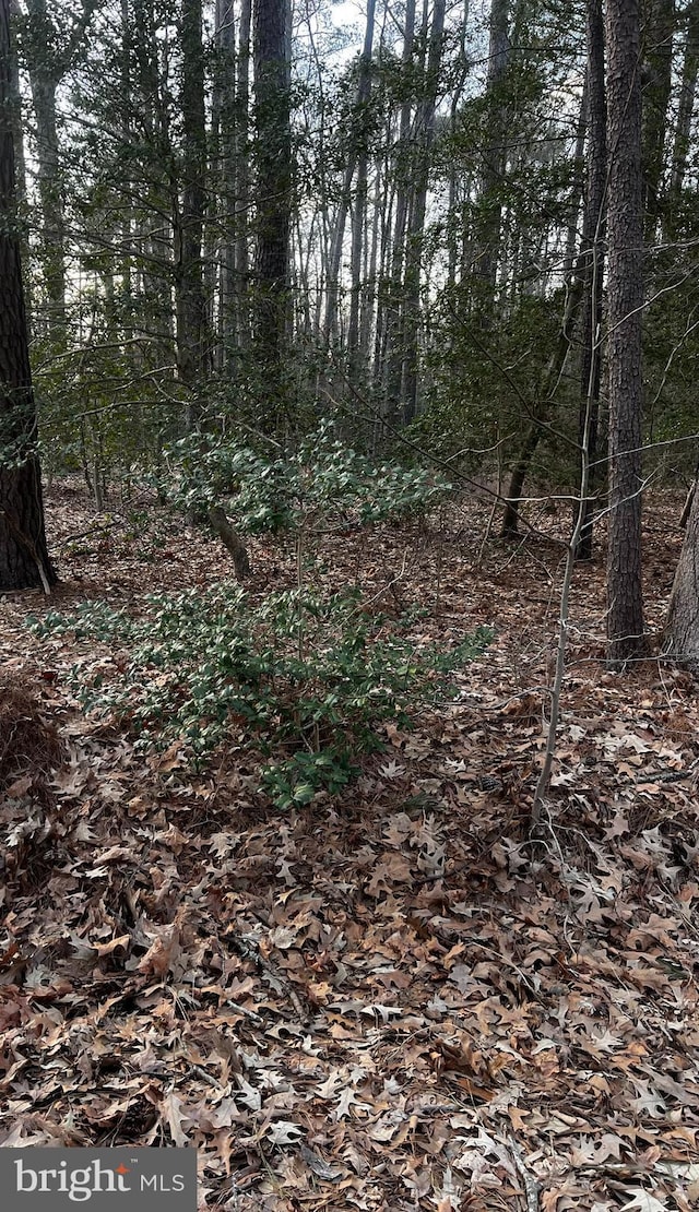 LOT33 Richardson St, Hague VA, 22469 land for sale