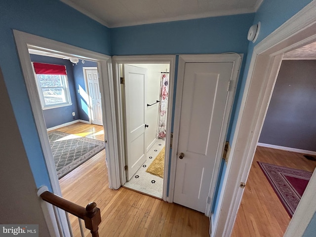 hall featuring baseboards, hardwood / wood-style flooring, and crown molding